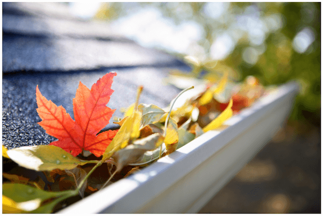 clogged gutters in atlanta